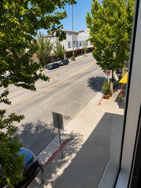 Street view through tree foliage of a downtown street with historic buildings, parked cars, sidewalk, and clear blue sky