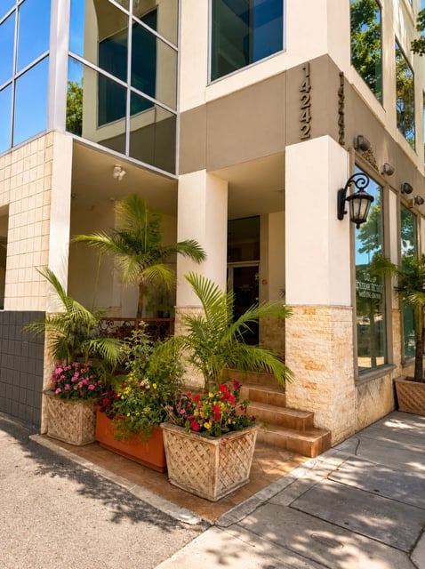 Modern storefront with beige and stone facade, large windows, potted palm plants and colorful flowers at the entrance